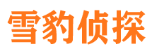 崇川捉小三公司